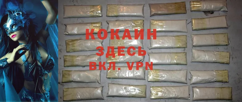 купить наркотики сайты  Буй  COCAIN Fish Scale 