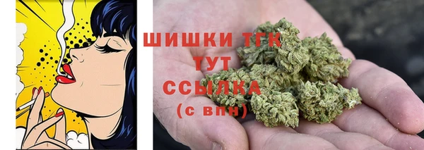 прущие грибы Богданович