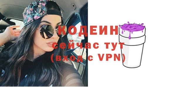 прущие грибы Богданович