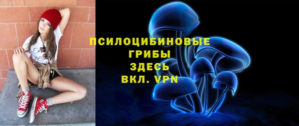тгк Медногорск