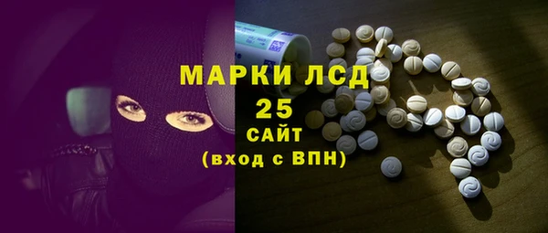 гашик Бородино