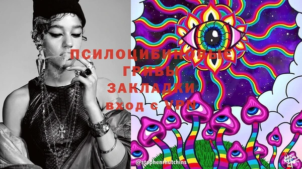 гашик Бородино