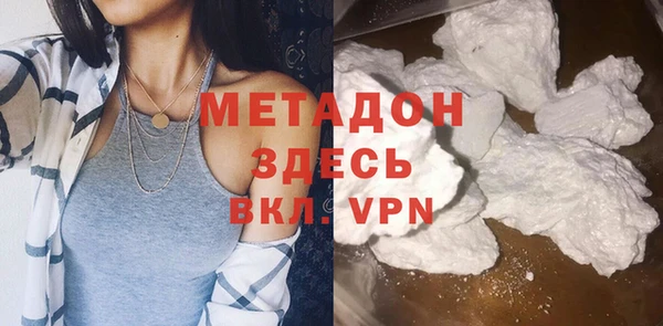 прущие грибы Богданович